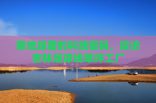 寒地绿茵的科技密码,探访吉林足球场草坪工厂