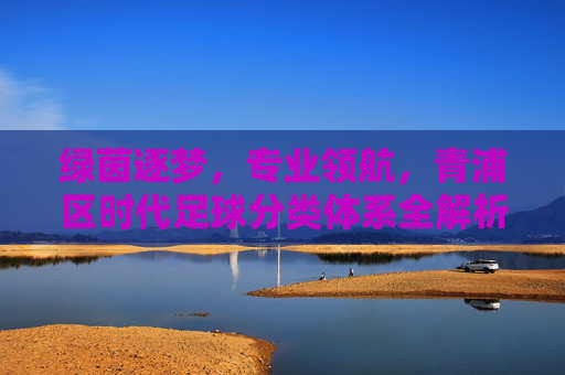 绿茵逐梦,专业领航,青浦区时代足球分类体系全解析