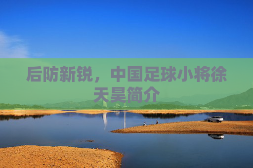 后防新锐，中国足球小将徐天昊简介