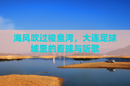 海风吹过梭鱼湾,大连足球城里的看球与听歌