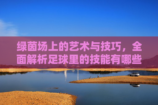 绿茵场上的艺术与技巧，全面解析足球里的技能有哪些