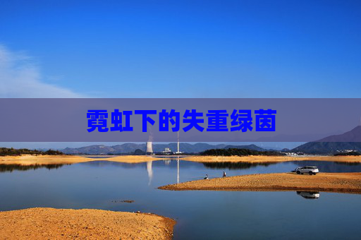 霓虹下的失重绿茵