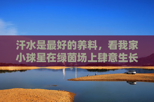 汗水是最好的养料，看我家小球星在绿茵场上肆意生长