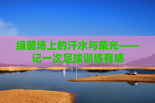 绿茵场上的汗水与荣光——记一次足球训练有感
