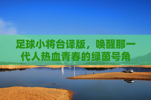 足球小将台译版,唤醒那一代人热血青春的绿茵号角