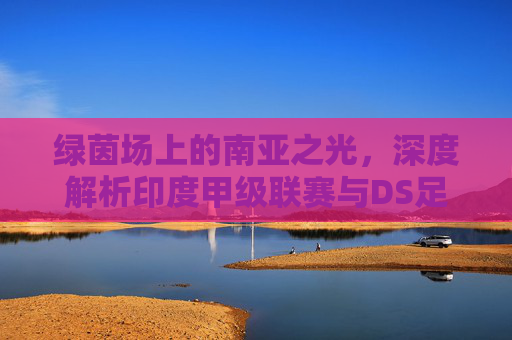 绿茵场上的南亚之光,深度解析印度甲级联赛与DS足球的激情碰撞