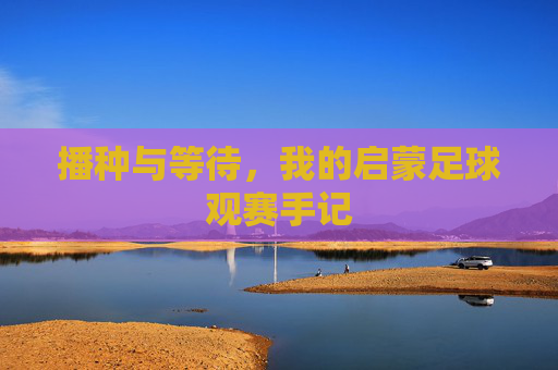播种与等待,我的启蒙足球观赛手记