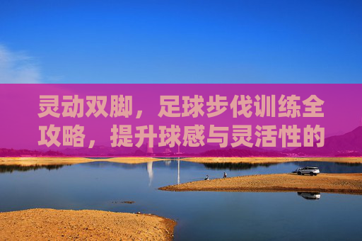 灵动双脚,足球步伐训练全攻略,提升球感与灵活性的关键