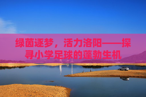 绿茵逐梦,活力洛阳——探寻小学足球的蓬勃生机