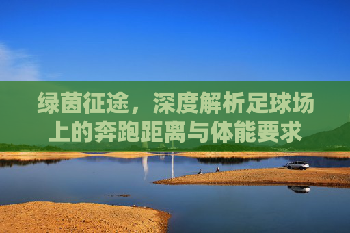 绿茵征途,深度解析足球场上的奔跑距离与体能要求