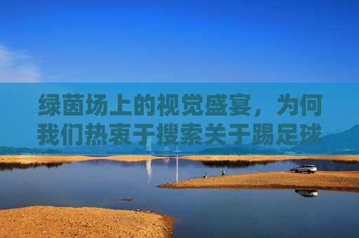 绿茵场上的视觉盛宴,为何我们热衷于搜索关于踢足球的画报