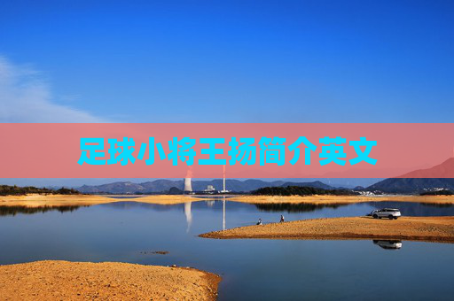 足球小将王扬简介英文
