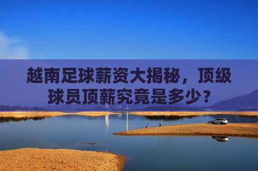 越南足球薪资大揭秘,顶级球员顶薪究竟是多少?