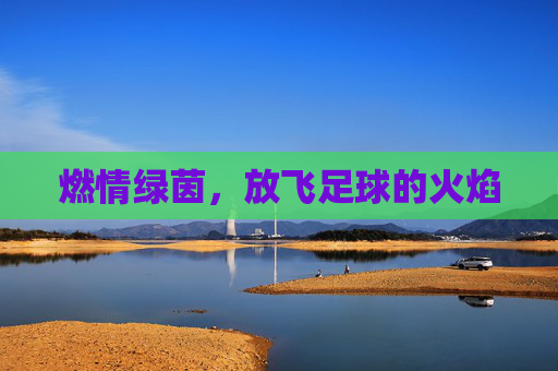 燃情绿茵，放飞足球的火焰