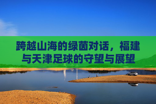 跨越山海的绿茵对话,福建与天津足球的守望与展望