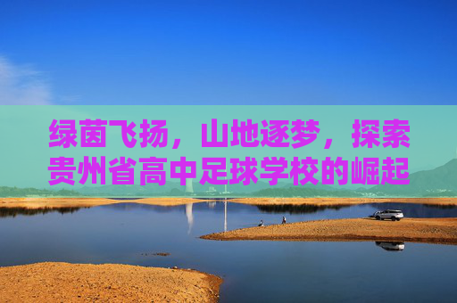 绿茵飞扬,山地逐梦,探索贵州省高中足球学校的崛起之路