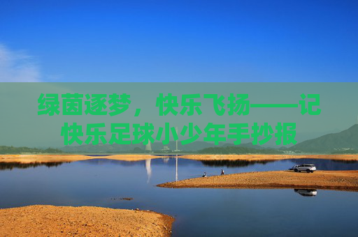 绿茵逐梦,快乐飞扬——记快乐足球小少年手抄报