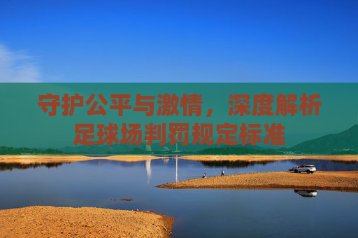守护公平与激情,深度解析足球场判罚规定标准