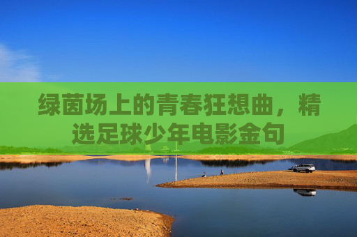 绿茵场上的青春狂想曲，精选足球少年电影金句