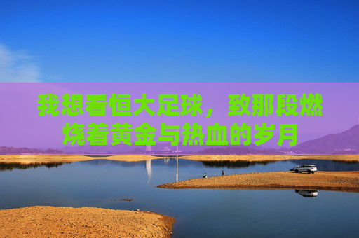 我想看恒大足球,致那段燃烧着黄金与热血的岁月