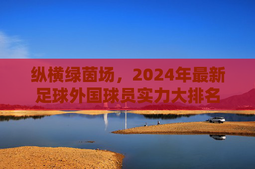 纵横绿茵场,2024年最新足球外国球员实力大排名