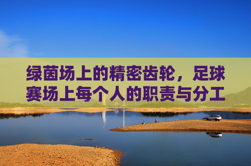 绿茵场上的精密齿轮,足球赛场上每个人的职责与分工