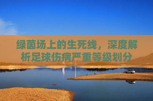 绿茵场上的生死线,深度解析足球伤病严重等级划分