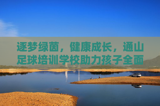 逐梦绿茵,健康成长,通山足球培训学校助力孩子全面发展