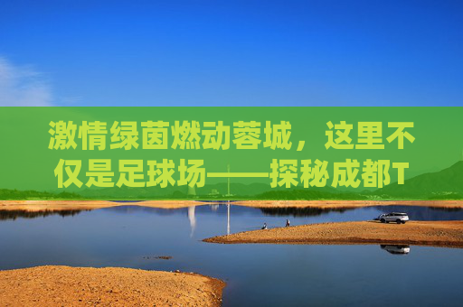 激情绿茵燃动蓉城,这里不仅是足球场——探秘成都T98足球公园
