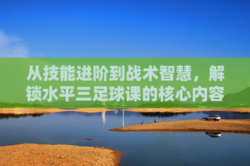 从技能进阶到战术智慧,解锁水平三足球课的核心内容