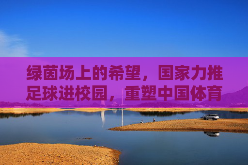 绿茵场上的希望,国家力推足球进校园,重塑中国体育未来