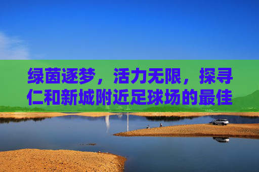 绿茵逐梦,活力无限,探寻仁和新城附近足球场的最佳去处