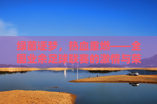 绿茵逐梦,热血重燃——全国业余足球联赛的激情与荣耀