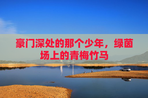 豪门深处的那个少年,绿茵场上的青梅竹马