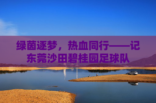 绿茵逐梦,热血同行——记东莞沙田碧桂园足球队