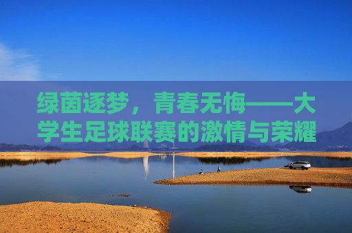 绿茵逐梦,青春无悔——大学生足球联赛的激情与荣耀
