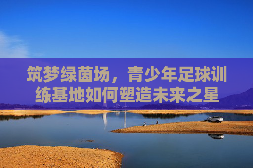 筑梦绿茵场,青少年足球训练基地如何塑造未来之星