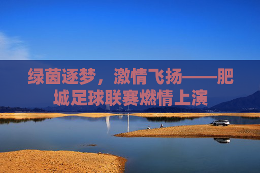 绿茵逐梦,激情飞扬——肥城足球联赛燃情上演