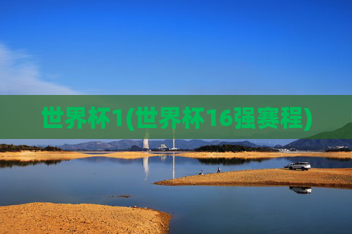 世界杯1(世界杯16强赛程)