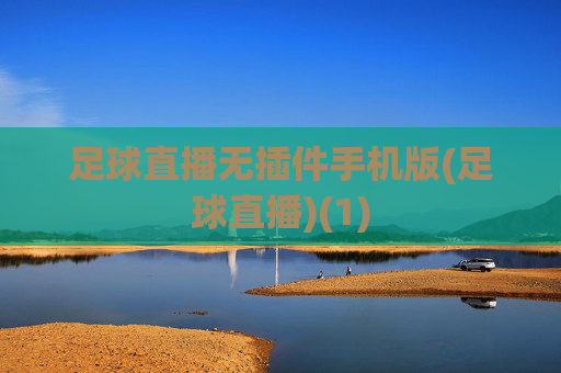 足球直播无插件手机版(足球直播)(1)