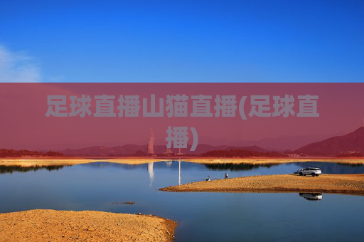 足球直播山猫直播(足球直播)