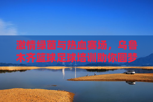 激情绿茵与热血赛场,乌鲁木齐篮球足球培训助你圆梦