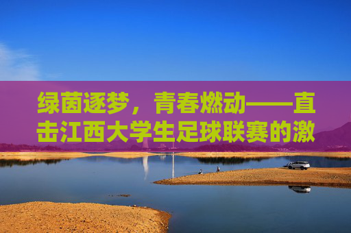 绿茵逐梦,青春燃动——直击江西大学生足球联赛的激情时刻