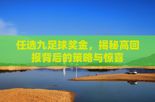 任选九足球奖金,揭秘高回报背后的策略与惊喜