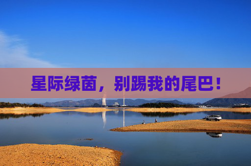 星际绿茵,别踢我的尾巴!