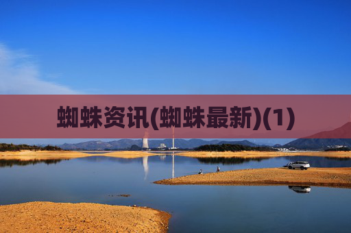 蜘蛛资讯(蜘蛛最新)(1)