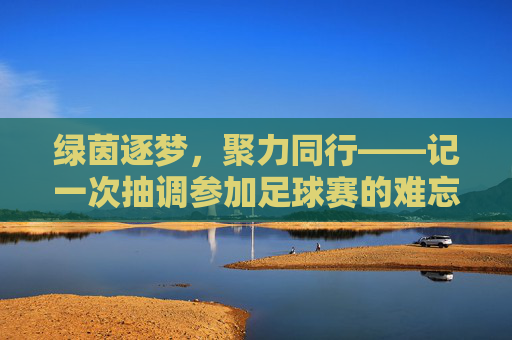 绿茵逐梦,聚力同行——记一次抽调参加足球赛的难忘经历