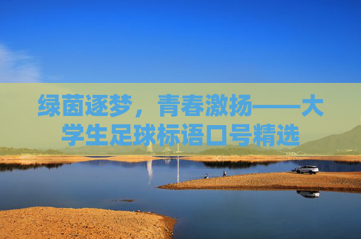 绿茵逐梦,青春激扬——大学生足球标语口号精选