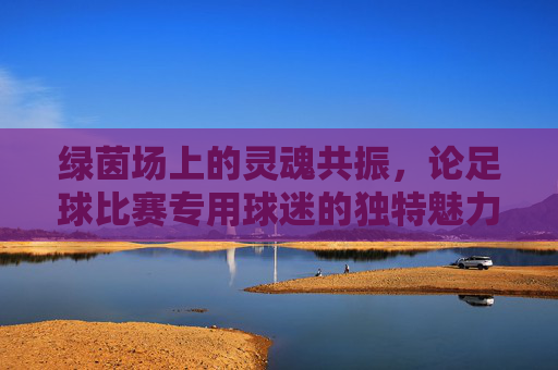 绿茵场上的灵魂共振,论足球比赛专用球迷的独特魅力