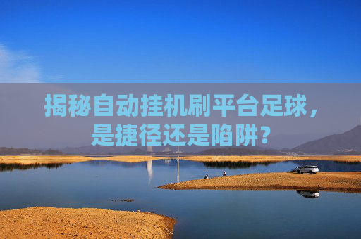 揭秘自动挂机刷平台足球,是捷径还是陷阱?